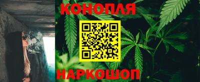 PSILOCYBIN Нягань