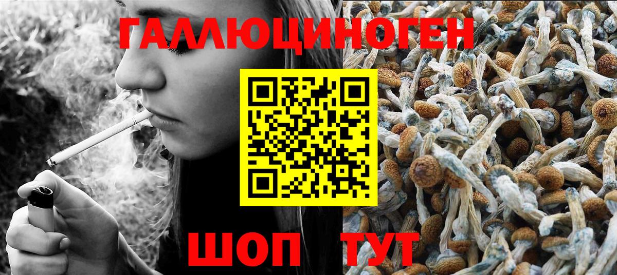 Псилоцибиновые грибы ЛСД  Вход с VPN  наркошоп  Псилоцибиновые грибы мицелий  Бугуруслан 